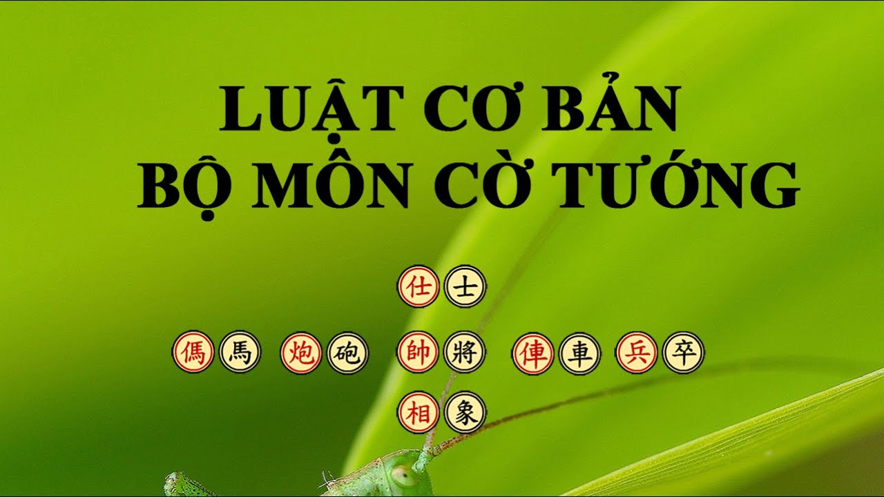Sách luật cờ tướng việt nam 2014